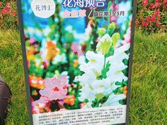 -花博汇(知音花月夜)