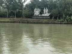 -泗洪洪泽湖湿地景区