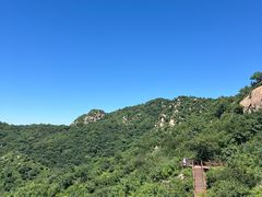 -大岭沟猕猴桃谷风景区