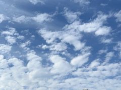 -济南野生动物世界