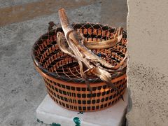 -白沙菜市场