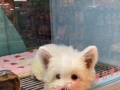-FAELING PETS美天灵宠物(合生汇店)