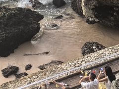 -Rock Bar Bali(Bali)