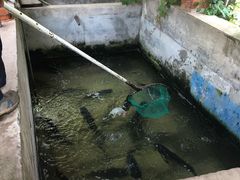 -姥家大锅台水库渔家