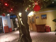 -老阿妈蒙古村·蒙古包·草原文化·歌舞表演(老君堂店)