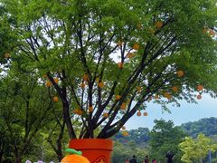 -云溪植物园