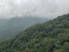 -牛背梁国家森林公园