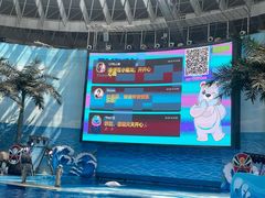 -海合安成都极地海洋公园