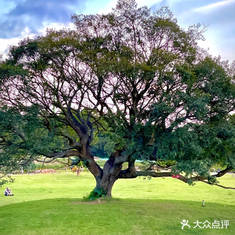 打卡恩上水库 遇见⛰️和🌊