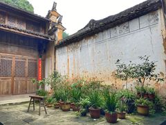 -杨家堂村