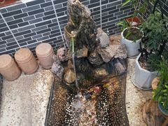 -西江美食舫·江西菜(健德桥店)