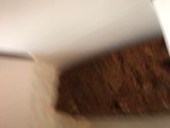 -金色麦甜糕点(面包.蛋糕.华苑店)