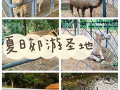 -长白岛森林公园