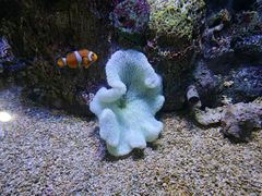 -大连老虎滩海洋公园