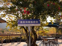 -和顺古镇