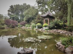 -迎泽公园