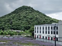 -浙江大学(玉泉校区)