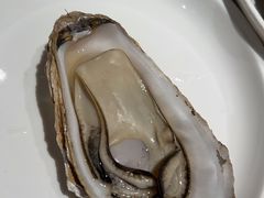 -杨氏青龙虾·羊蝎子(金盛路总店)