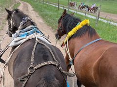 -塞罕坝国家级自然保护区