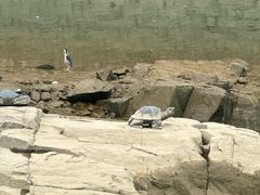 -仓山金山寺
