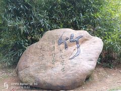 -蔡伦竹海