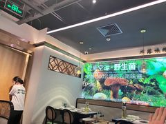 -野·大山里野生菌石锅土鸡(益田假日店)