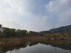 -西湖风景区-江洋畈生态公园