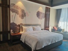 -清远熹乐谷温泉度假酒店
