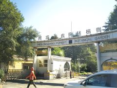 -黑龙江省森林植物园