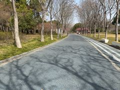 -贡湖湾湿地公园