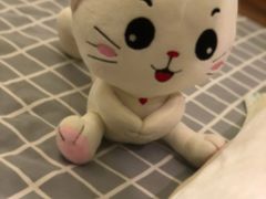 -嘉慧女子水汇