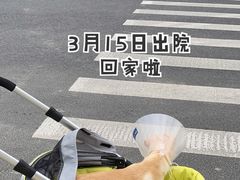 -佩兹宠物医院肿瘤专科·眼科·牙科(黄浦店)