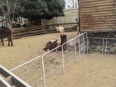 -HERRE·FARM 赫尔露营农场·团建聚会包场