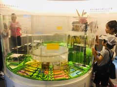 -日本科学未来馆