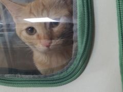-宠颐生中康贝怡动物医院