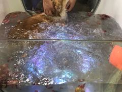 -1013 PET SHOP 宠物商店(近铁城市广场店)