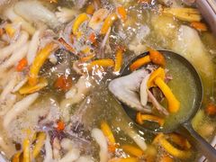 -鸽鸟轩(石岐店)