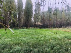 -白鹭湾湿地公园