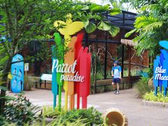 -新加坡飞禽公园