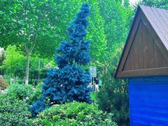 -Supine Bistro溯泮餐厅