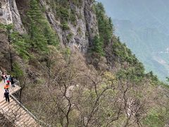 -秦岭天竺山景区