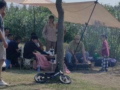 -春花秋色城市公园