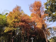-晓港公园