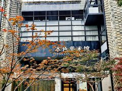 -苏州本色美术馆