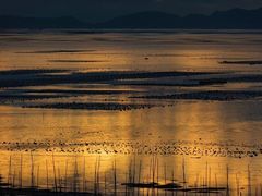 -北岐滩涂