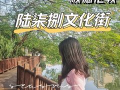 -伦教678文化街