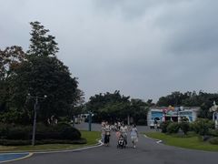 -森波拉奇妙世界