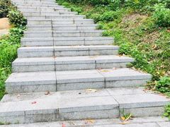-火炉山森林公园