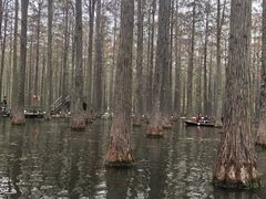 -渌洋湖湿地公园