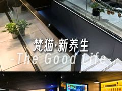 -梵猫·新养生(鹭江大同店)